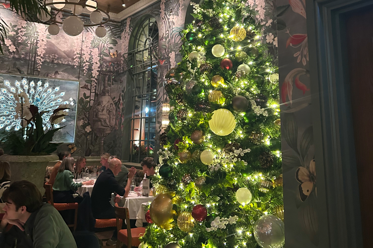 the ivy northcote road